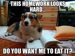 Image result for homework