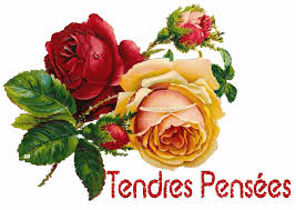 Résultat de recherche d'images pour "gifs gratuis tendres pensées"