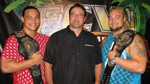 WWE Hall of Famer Mike Rotunda in Hospice Care