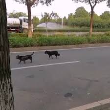 1112_哔哩哔哩_bilibili