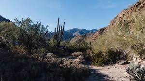 Clima en Mexicali: pronóstico de intenso calor para este jueves 24 de septiembre