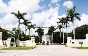 Florida Politics - News update