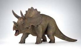 Image result for dinosaurs