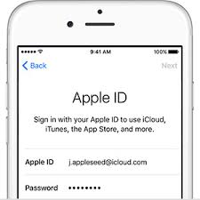 Hasil gambar untuk apple