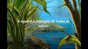 Resultado de imagem para a importancia da agua
