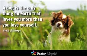 Pet Quotes - BrainyQuote via Relatably.com