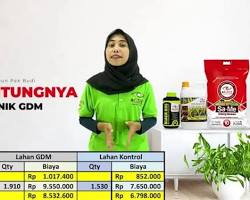 Gambar Testimoni Mitra Fremilt Pak Budi Surabaya