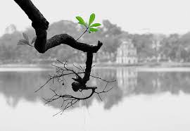 Kết quả hình ảnh cho tạm biệt mùa đông