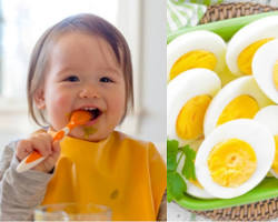 Gambar Telur untuk bayi