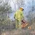 Fire crews work to contain blaze at Landsborough