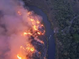 Portal Amazônia - News update