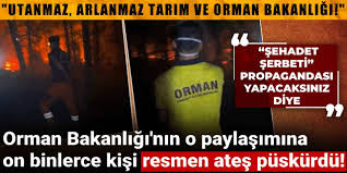 Halk TV - News update
