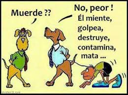 Resultado de imagen de chistes de perros