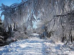 Afbeeldingsresultaat voor winter