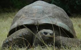 News source: Le Parisien