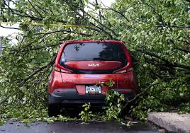 Severe thunderstorms batter Western Pa., downing trees and spurring power outages — including at the airport