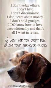 Pet Quotes and Sayings on Pinterest | Pet Quotes, Pets and Cat Quotes via Relatably.com