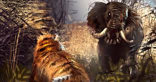 Image result for tiger and elephant fight