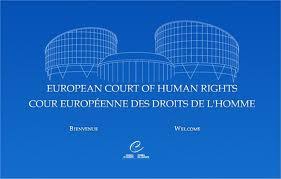 Image result for European Convention on Human Rights LOGO