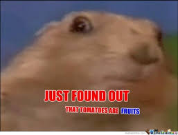 Dramatic Chipmunk Memes. Best Collection of Funny Dramatic ... via Relatably.com