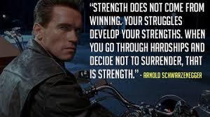 Terminator Arnold Schwarzenegger Quotes. QuotesGram via Relatably.com