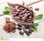 Image result for Cocao