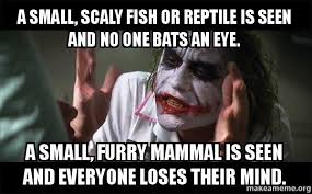 A small, scaly fish or reptile is seen and no one bats an eye. A ... via Relatably.com