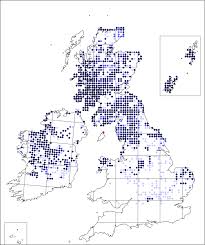 Parnassia palustris | Online Atlas of the British and Irish Flora