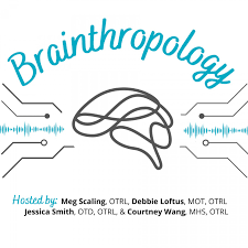 Brainthropology