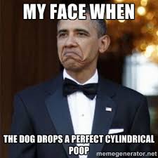 my face when The dog drops a perfect cylindrical poop - Not Bad ... via Relatably.com