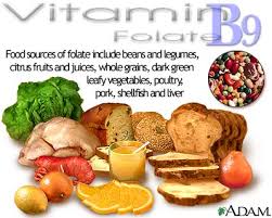 Image result for folate