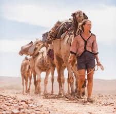Resultado de imagen de camellos australianos
