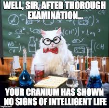 Chemistry Cat Meme - Imgflip via Relatably.com