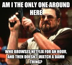 am I the only one around here who browses netflix for an hour, and ... via Relatably.com