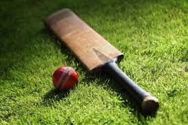 Image result for cricket bat