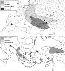 A reappraisal of Phyllolepidum (Brassicaceae), a neglected genus ...