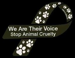 Stop animal cruelty | Dog Quotes and Sayings | Pinterest | Stop ... via Relatably.com