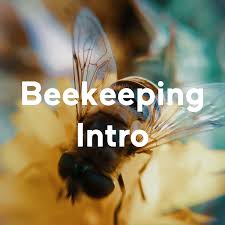 Beekeeping Intro