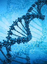 Kuvahaun tulos haulle DNA code