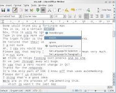 Image of LanguageTool software