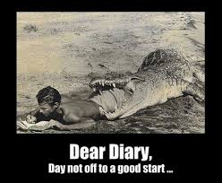 Dear Diary... | Know Your Meme via Relatably.com
