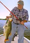 Most popular bass lures