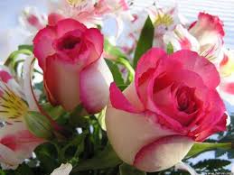Image result for images of flowers