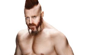 Image result for sheamus wwe