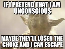 If I Pretend That I Am Unconscious - Yoda meme on Memegen via Relatably.com