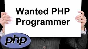 Image result for web programmer wanted