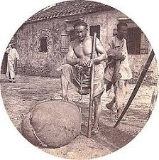 Image result for MAURITIUS INDENTURED INDIANS