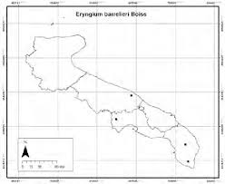 Distribuzione in Puglia di Eryngium barrelieri Boiss. Apulian ...