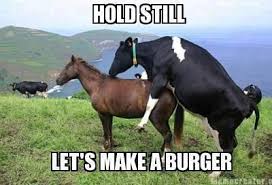 make a burger | 2013 Horse Meat Scandal | Know Your Meme via Relatably.com