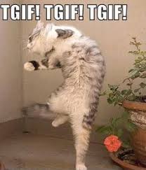 Funny Cats and Memes on Pinterest | Cat Memes, Grumpy Cat Meme and ... via Relatably.com